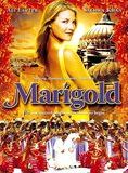 Affiche du film Marigold (2007) de Willard Carroll. Voir Marigold en streaming / torrent sur meilleurs-films.fr