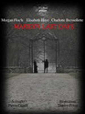 Affiche du court métrage Marilyn Last Days (2011) de Thierry Penin. Voir Marilyn Last Days en streaming / torrent sur meilleurs-films.fr