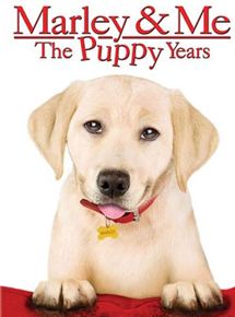 Affiche du film Marley et moi 2 (2011) de Michael Damian. Voir Marley et moi 2 en streaming / torrent sur meilleurs-films.fr