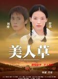 Affiche du film Mei ren cao (the foliage) (2003) de Yue Lu. Voir Mei ren cao (the foliage) en streaming / torrent sur meilleurs-films.fr