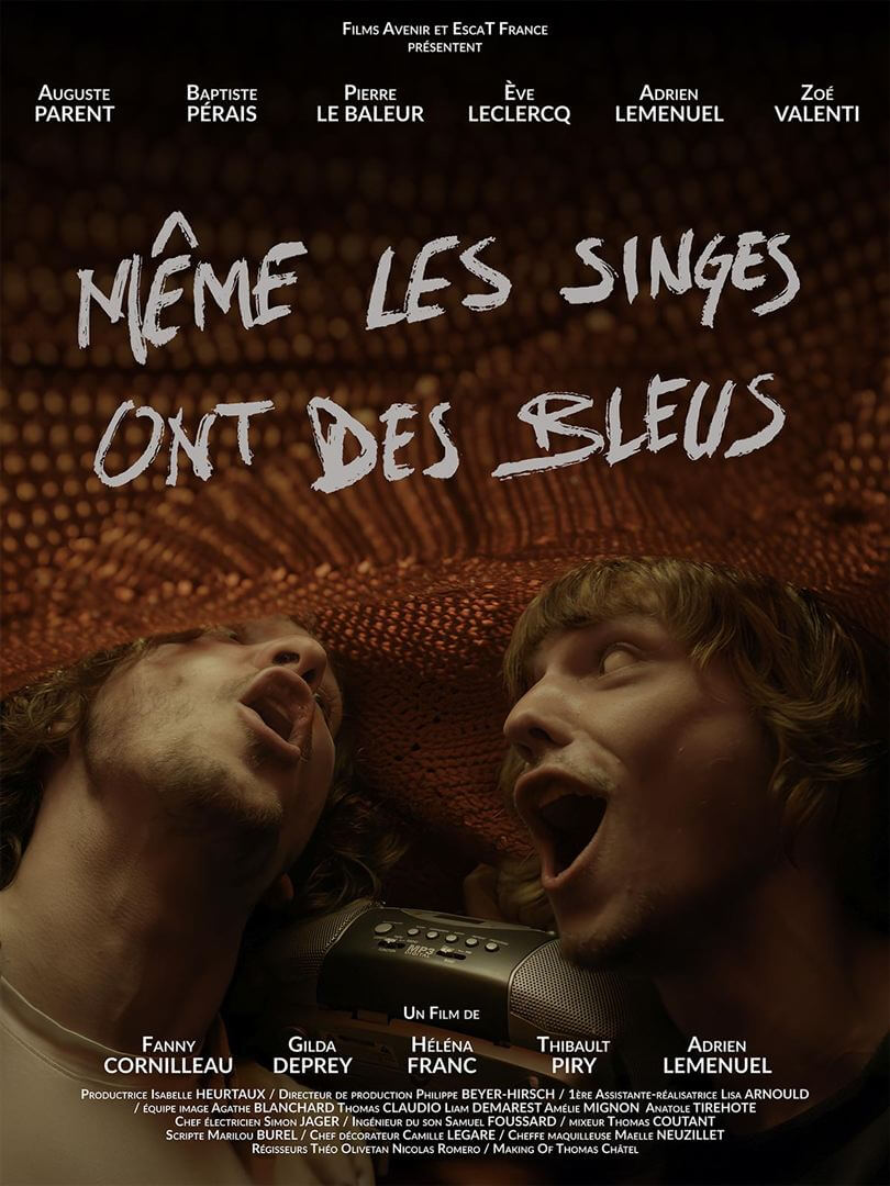Affiche du film Même les singes ont des bleus (2023) de Fanny Cornilleau. Voir Même les singes ont des bleus en streaming / torrent sur meilleurs-films.fr