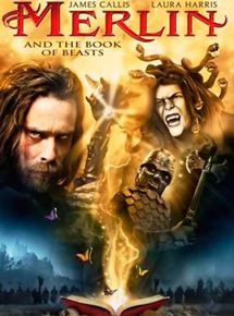 Affiche du film Merlin et le livre des sorts (2010) de Warren P. Sonoda Affiche du film Merlin et le livre des sorts (2010) de Warren P. Sonoda. Voir Merlin et le livre des sorts en streaming / torrent sur meilleurs-films.fr