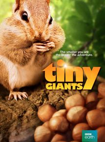 Affiche du film Mini héros (2015) de Mark Brownlow. Voir Mini héros en streaming / torrent sur meilleurs-films.fr