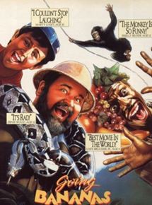 Affiche du film Mon aventure africaine (1987) de Boaz Davidson. Voir Mon aventure africaine en streaming / torrent sur meilleurs-films.fr