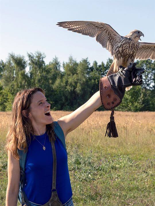 Affiche du film Mon faucon (2023) de Dominik Graf. Voir Mon faucon en streaming / torrent sur meilleurs-films.fr