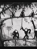 Affiche du court métrage Monkey Melodies (1930) de Burt Gillett. Voir Monkey Melodies en streaming / torrent sur meilleurs-films.fr