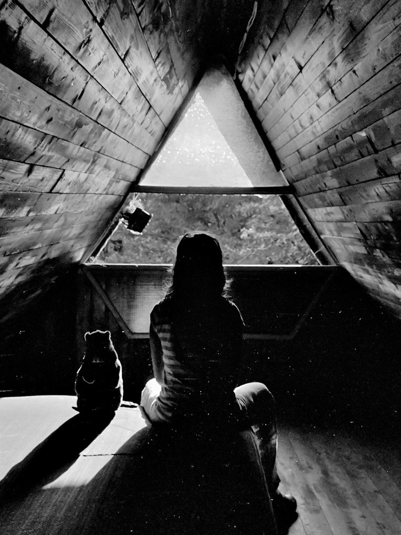 Affiche du court métrage Moonless Summer () de Stefan Ivancic. Voir Moonless Summer en streaming / torrent sur meilleurs-films.fr