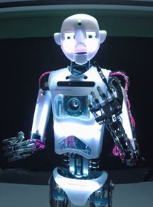 Affiche du film More Human Than Human (2018) de Femke Wolting Affiche du film More Human Than Human (2018) de Femke Wolting. Voir More Human Than Human en streaming / torrent sur meilleurs-films.fr