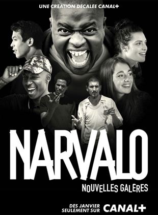 Affiche de la série Narvalo : nouvelles galères (2020) de Matthieu Longatte. Voir Narvalo : nouvelles galères en streaming / torrent sur meilleurs-films.fr
