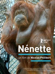 Affiche du film Nénette (2010) de Nicolas Philibert. Voir Nénette en streaming / torrent sur meilleurs-films.fr