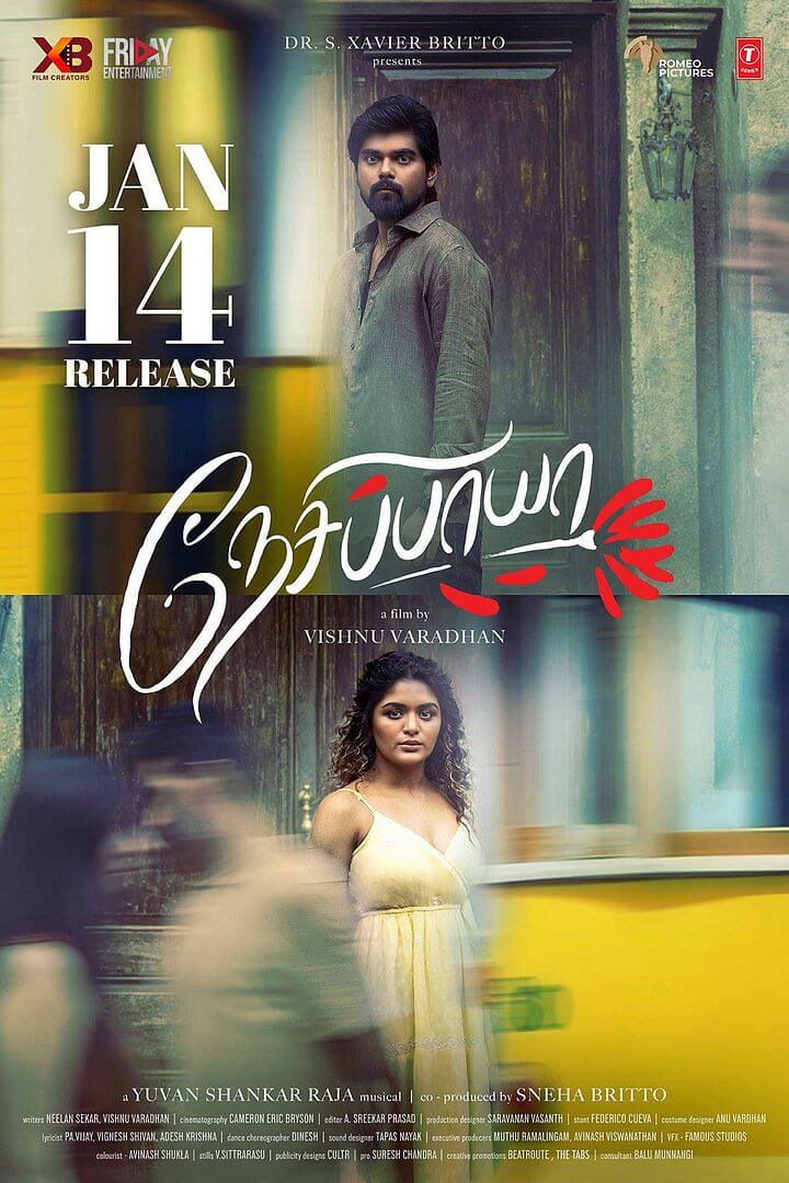 Affiche du film Nesippaya (2025) de . Voir Nesippaya en streaming / torrent sur meilleurs-films.fr