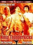 Affiche du film Ninjas Thunderkicks (1979) de Chi Lo. Voir Ninjas Thunderkicks en streaming / torrent sur meilleurs-films.fr