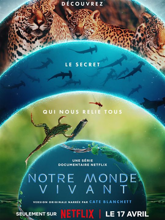 Affiche de la série Notre monde vivant (2024) de Affiche de la série Notre monde vivant (2024) de . Voir Notre monde vivant en streaming / torrent sur meilleurs-films.fr