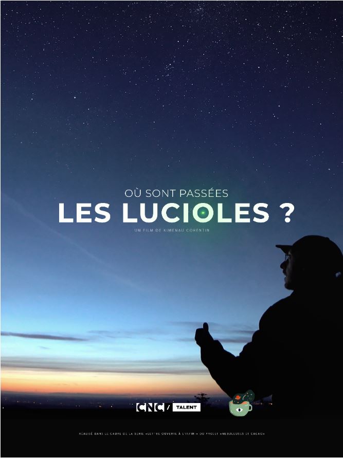 Affiche du court métrage Où sont passées les lucioles ? (2020) de Corentin Kimenau. Voir Où sont passées les lucioles ? en streaming / torrent sur meilleurs-films.fr