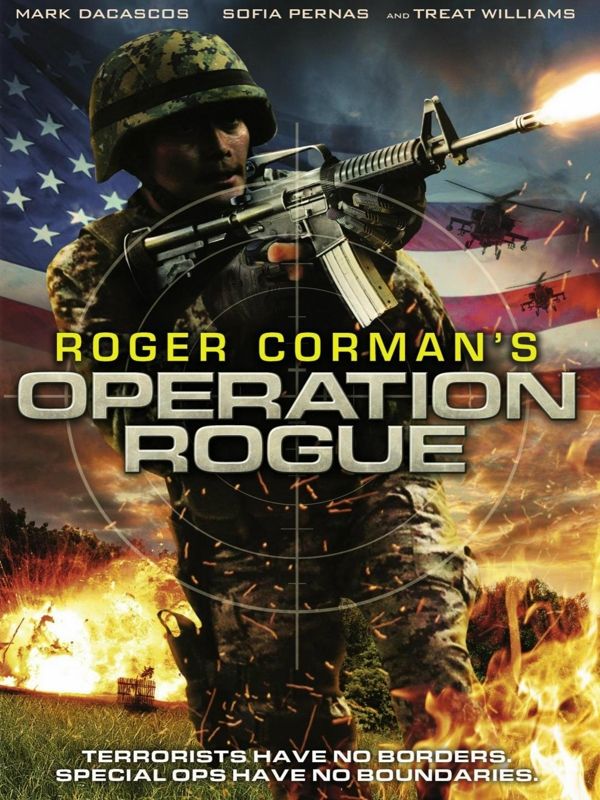 Affiche du film Operation Rogue (2014) de Brian Clyde. Voir Operation Rogue en streaming / torrent sur meilleurs-films.fr