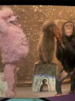 Affiche du court métrage ORLAN remix (2009) de Romain Gary. Voir ORLAN remix en streaming / torrent sur meilleurs-films.fr