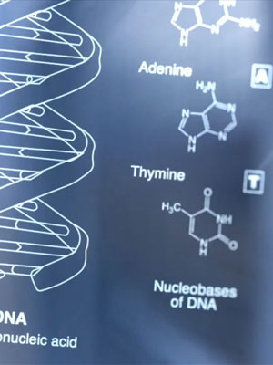 Affiche du court métrage Pandemic (2012) de Alexandr Gorin. Voir Pandemic en streaming / torrent sur meilleurs-films.fr