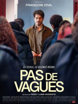 Affiche du film Pas de vagues (2024) de Audrey Diwan & Teddy Lussi-Modeste.