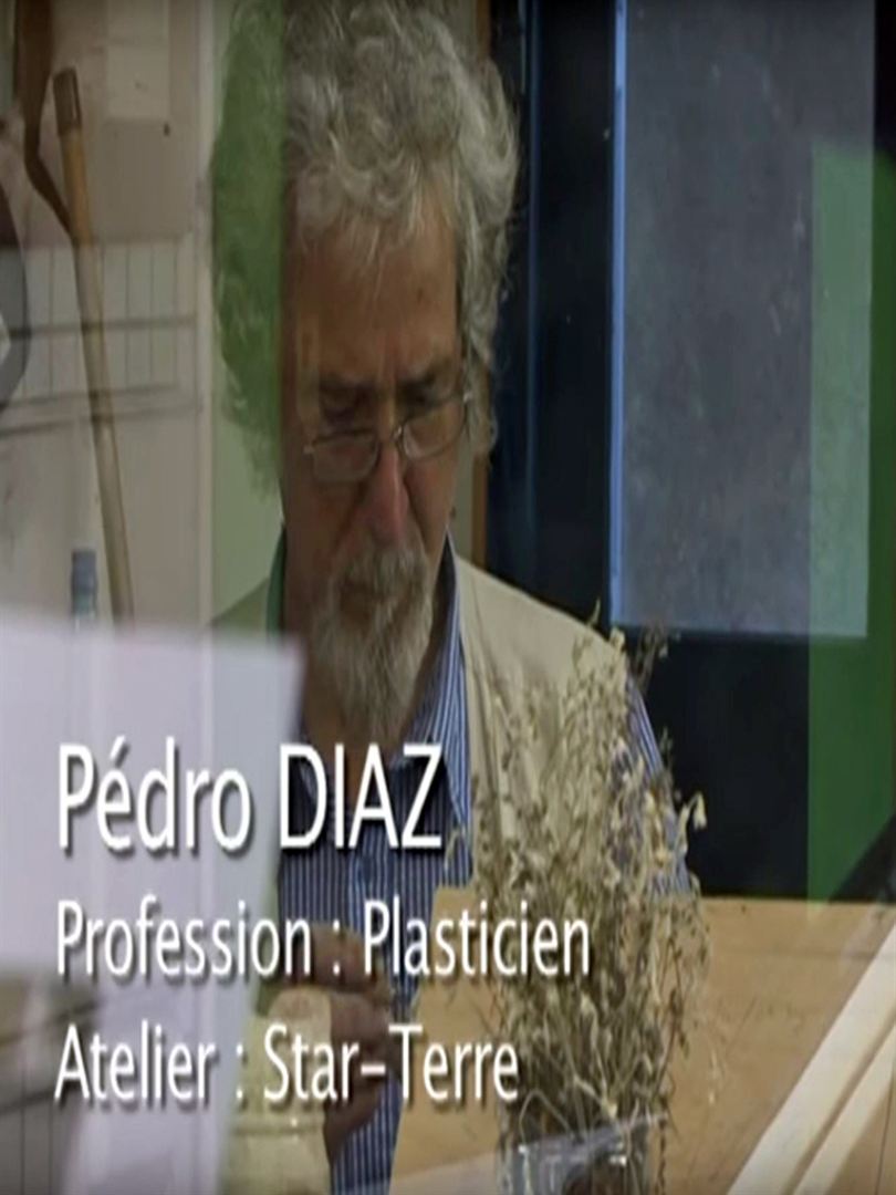 Affiche du court métrage Pédro Diaz Star-Terre (2009) de Dominique Dozolme. Voir Pédro Diaz Star-Terre en streaming / torrent sur meilleurs-films.fr