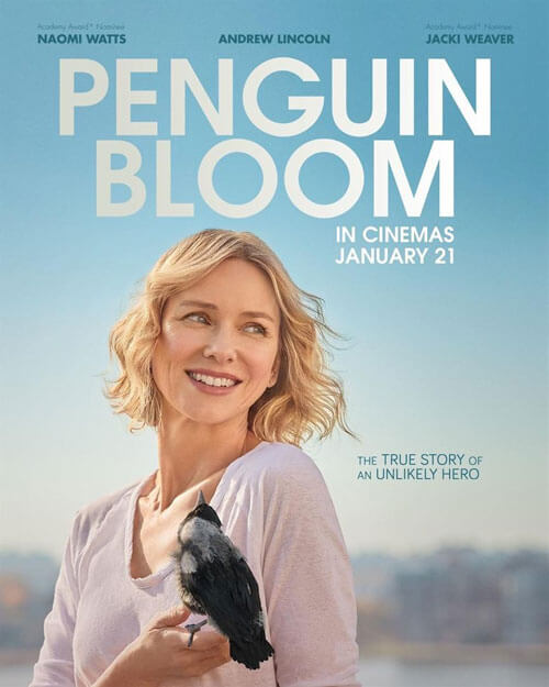 Affiche du film Penguin Bloom (2021) de Glendyn Ivin Affiche du film Penguin Bloom (2021) de Glendyn Ivin. Voir Penguin Bloom en streaming / torrent sur meilleurs-films.fr