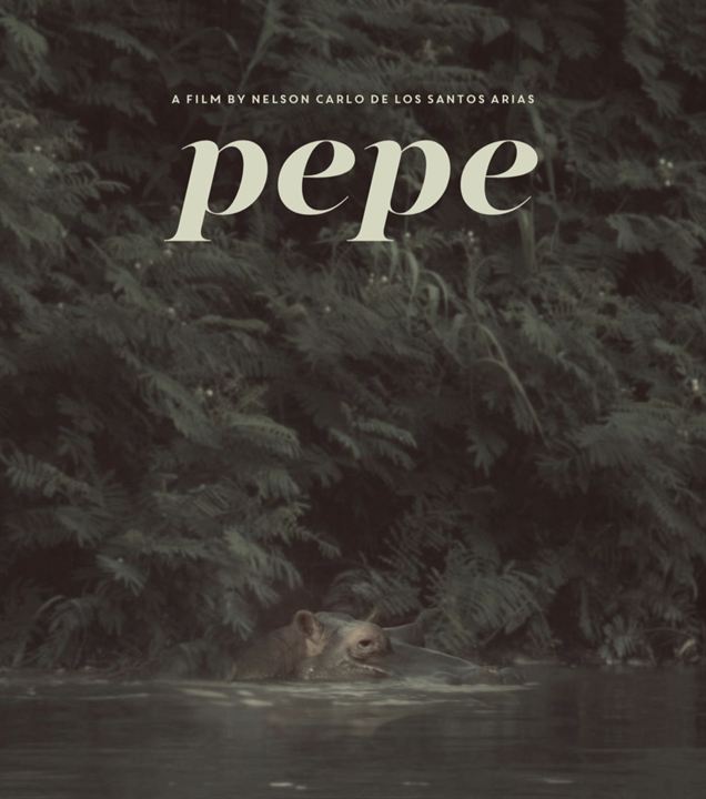 Affiche du film Pepe (2025) de Nelson Carlo de Los Santos Arias. Voir Pepe en streaming / torrent sur meilleurs-films.fr