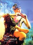 Affiche du film Pink Narcissus (1971) de James Bidgood. Voir Pink Narcissus en streaming / torrent sur meilleurs-films.fr
