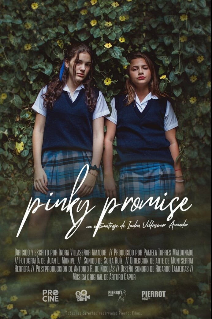 Affiche du court métrage Pinky Promise () de Indra Villaseñor Amador. Voir Pinky Promise en streaming / torrent sur meilleurs-films.fr