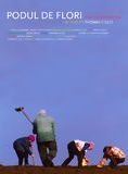 Affiche du film Podul de flori (2008) de Thomas Ciulei Affiche du film Podul de flori (2008) de Thomas Ciulei. Voir Podul de flori en streaming / torrent sur meilleurs-films.fr