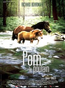 Affiche du film Pom le poulain (2005) de Olivier Ringer Affiche du film Pom le poulain (2005) de Olivier Ringer. Voir Pom le poulain en streaming / torrent sur meilleurs-films.fr