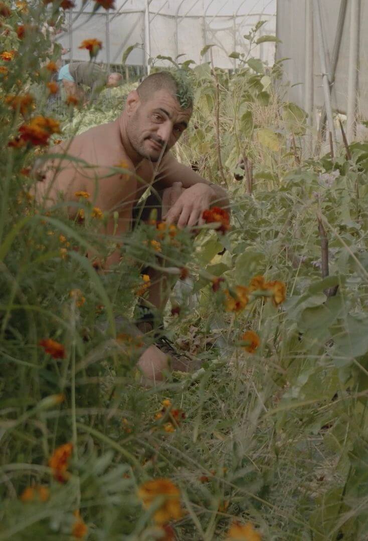 Affiche du film Presque libres (2025) de . Voir Presque libres en streaming / torrent sur meilleurs-films.fr