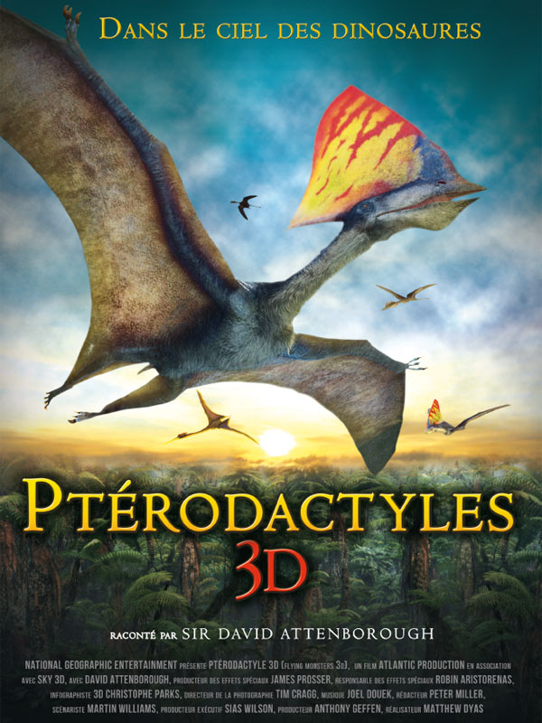 Affiche du court métrage Ptérodactyles 3D : Dans le ciel des dinosaures (2011) de Matthew Dyas. Voir Ptérodactyles 3D : Dans le ciel des dinosaures en streaming / torrent sur meilleurs-films.fr