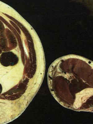 Affiche du court métrage Recordare () de Alessandro Pierattini. Voir Recordare en streaming / torrent sur meilleurs-films.fr