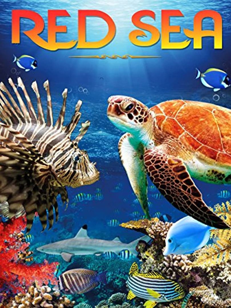 Affiche du court métrage Red Sea (2016) de Ekrem Engizek. Voir Red Sea en streaming / torrent sur meilleurs-films.fr