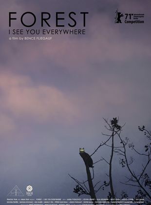 Affiche du film Rengeteg  mindenhol la?tlak (2022) de Bence Fliegauf. Voir Rengeteg  mindenhol la?tlak en streaming / torrent sur meilleurs-films.fr