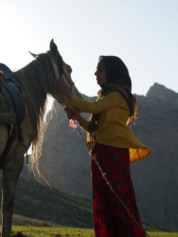 Affiche du court métrage Rêve chevalin (2025) de Marjan Khosravi Affiche du court métrage Rêve chevalin (2025) de Marjan Khosravi. Voir Rêve chevalin en streaming / torrent sur meilleurs-films.fr