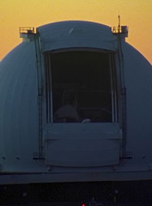 Affiche du film Rock Bottom Riser (2021) de Fern Silva,. Voir Rock Bottom Riser en streaming / torrent sur meilleurs-films.fr