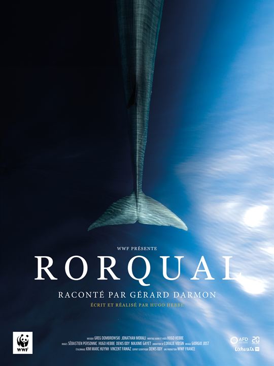 Affiche du court métrage Rorqual (2023) de Hugo Hebbe. Voir Rorqual en streaming / torrent sur meilleurs-films.fr