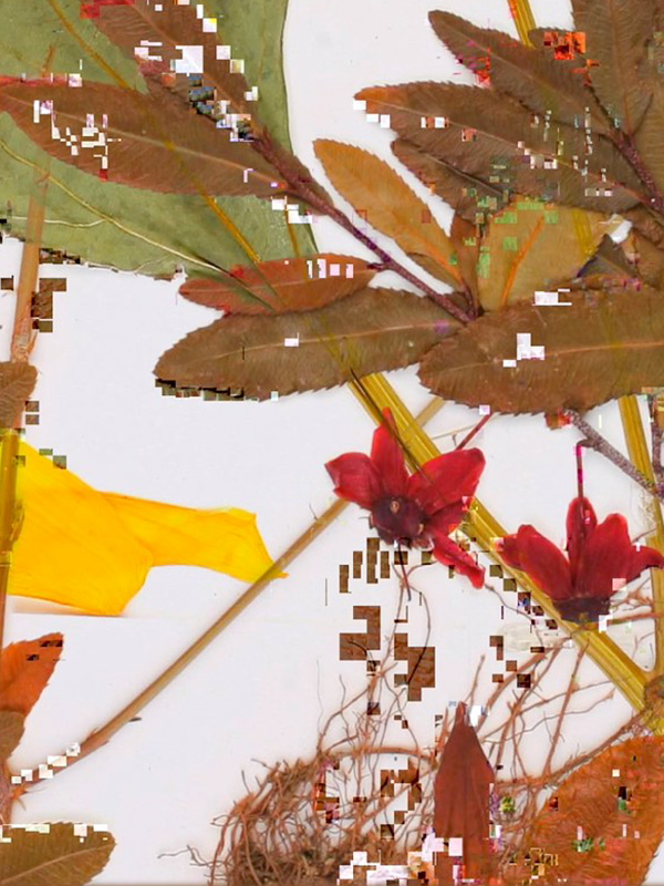 Affiche du court métrage Salammbô (2022) de Jacques Perconte. Voir Salammbô en streaming / torrent sur meilleurs-films.fr