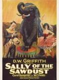 Affiche du film Sally, fille de cirque (1923) de D.W. Griffith Affiche du film Sally, fille de cirque (1923) de D.W. Griffith. Voir Sally, fille de cirque en streaming / torrent sur meilleurs-films.fr