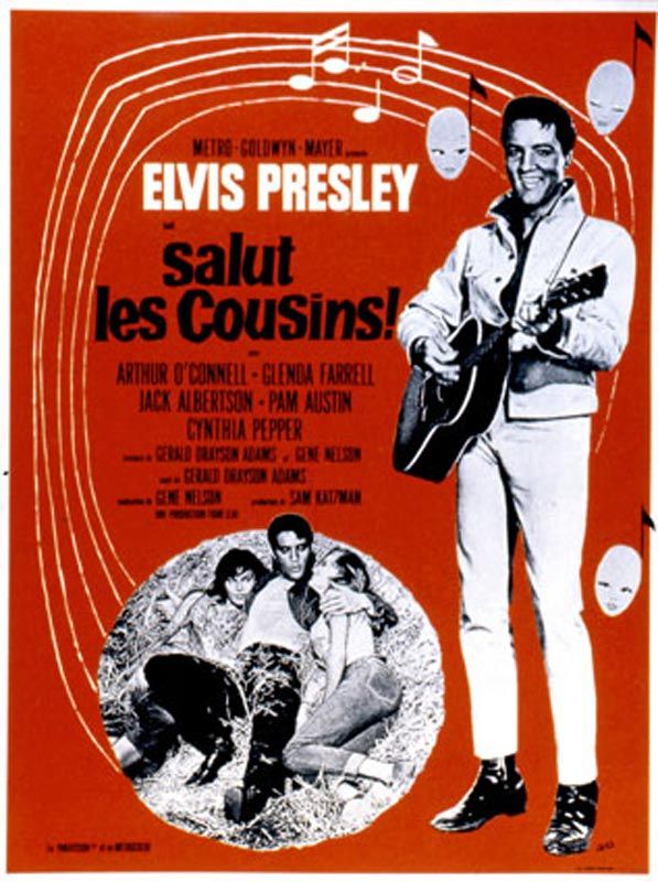 Affiche du film Salut les cousins ! (1964) de Gene Nelson. Voir Salut les cousins ! en streaming / torrent sur meilleurs-films.fr
