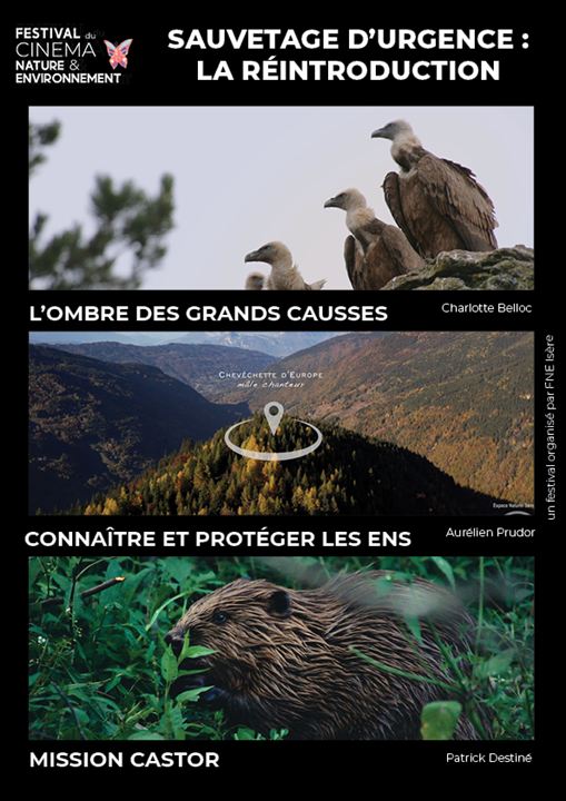 Affiche du film Sauvetage d’urgence : la réintroduction (2022) de Charlotte Belloc Affiche du film Sauvetage d’urgence : la réintroduction (2022) de Charlotte Belloc. Voir Sauvetage d’urgence : la réintroduction en streaming / torrent sur meilleurs-films.fr