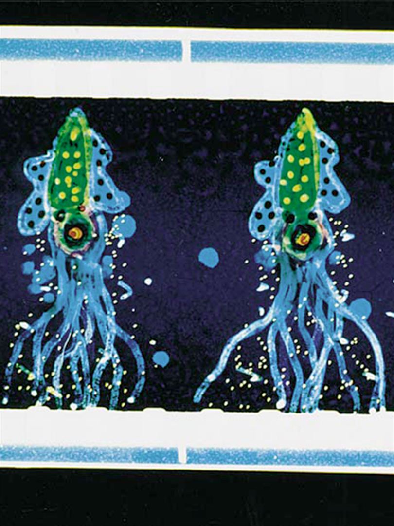 Affiche du court métrage Sea Song (2018) de Kirsten Lepore. Voir Sea Song en streaming / torrent sur meilleurs-films.fr