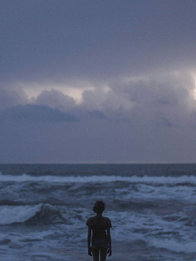 Affiche du court métrage Selva () de Sofia Quiros Ubeda Affiche du court métrage Selva () de Sofia Quiros Ubeda. Voir Selva en streaming / torrent sur meilleurs-films.fr