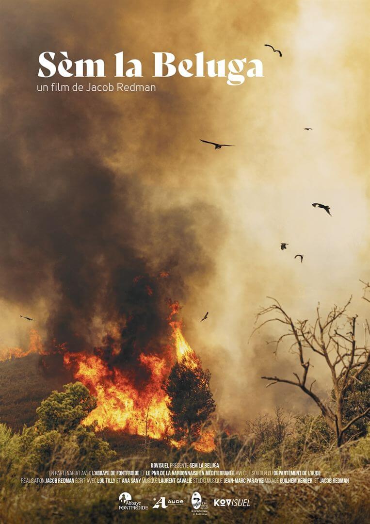 Affiche du film SEM LA BELUGA (2023) de Jacob Redman Affiche du film SEM LA BELUGA (2023) de Jacob Redman. Voir SEM LA BELUGA en streaming / torrent sur meilleurs-films.fr