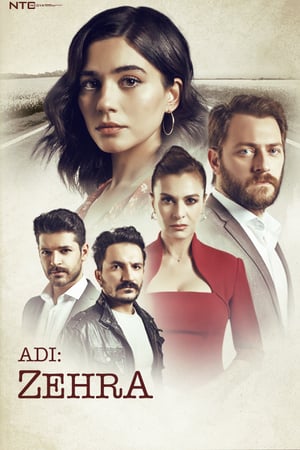 Affiche de la série Adi: Zehra (2018) de Taner Akvardar. Voir Adi: Zehra en streaming / torrent sur meilleurs-films.fr