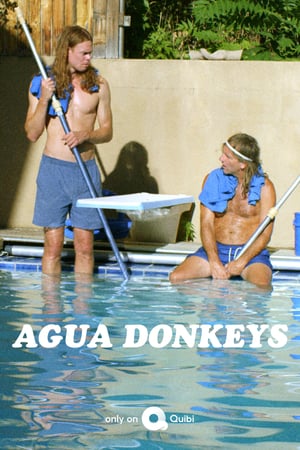 Affiche de la série Agua Donkeys (2020) de Affiche de la série Agua Donkeys (2020) de . Voir Agua Donkeys en streaming / torrent sur meilleurs-films.fr
