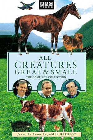 Affiche de la série All Creatures Great and Small (1978) de Bill Sellars. Voir All Creatures Great and Small en streaming / torrent sur meilleurs-films.fr