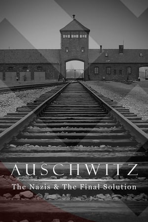 Affiche de la série Auschwitz, les Nazis et la ‘Solution Finale’ (2005) de Affiche de la série Auschwitz, les Nazis et la ‘Solution Finale’ (2005) de . Voir Auschwitz, les Nazis et la ‘Solution Finale’ en streaming / torrent sur meilleurs-films.fr