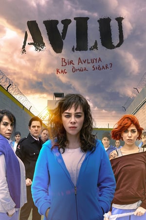 Affiche de la série Avlu (2018) de Caner Yalcin. Voir Avlu en streaming / torrent sur meilleurs-films.fr