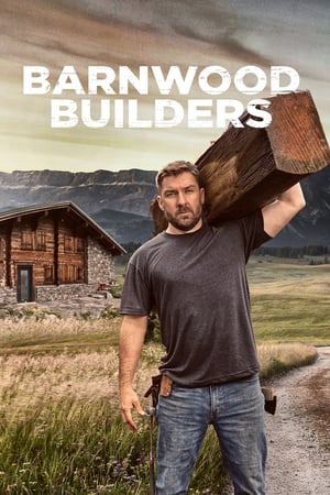 Affiche de la série Barnwood Builders (2013) de . Voir Barnwood Builders en streaming / torrent sur meilleurs-films.fr